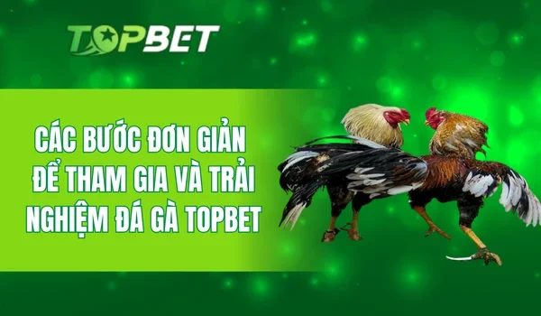 Các bước đơn giản để tham gia và trải nghiệm đá gà TOPBET
