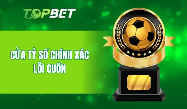 Cửa tỷ số chính xác lôi cuốn