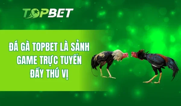Đá gà TOPBET là sảnh game trực tuyến đầy thú vị