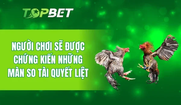 Người chơi sẽ được chứng kiến những màn so tài quyết liệt