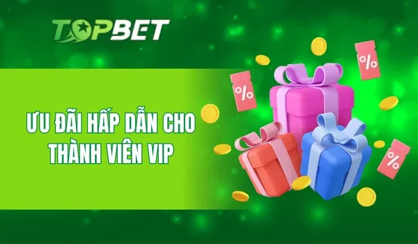 Ưu đãi hấp dẫn cho thành viên VIP